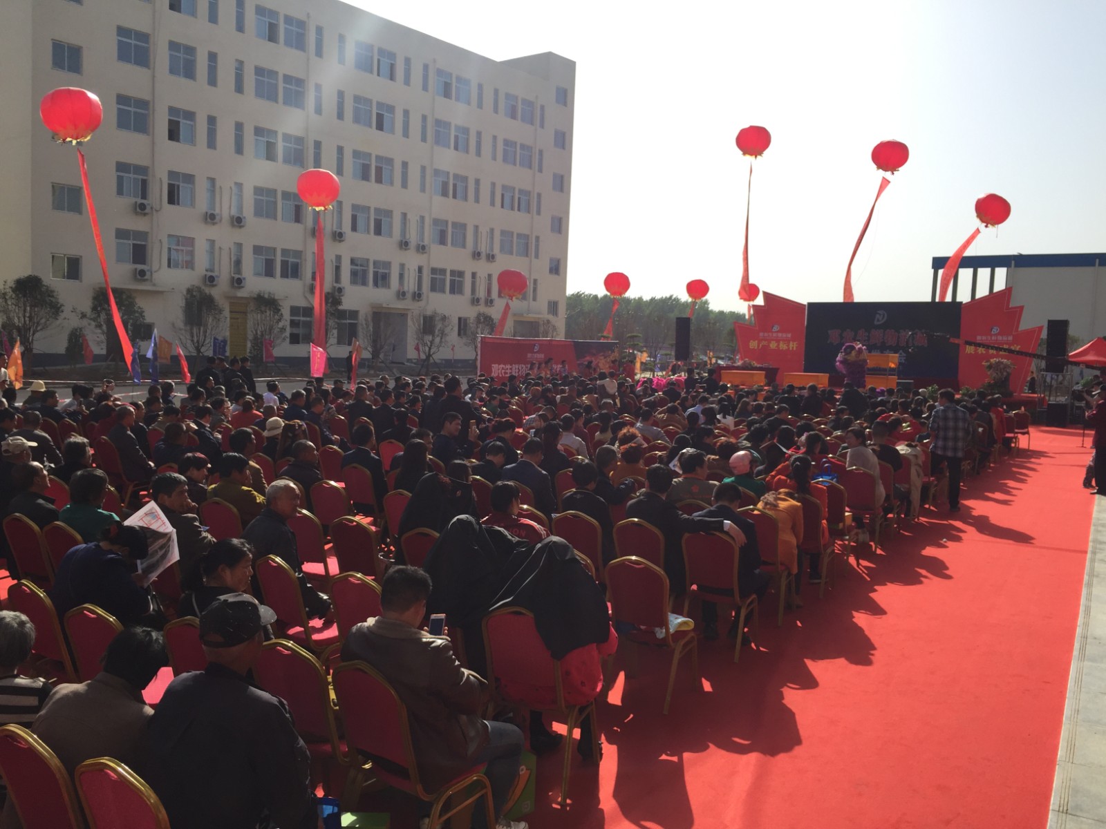 農(nóng)貿(mào)市場(chǎng)地產(chǎn)策劃公司